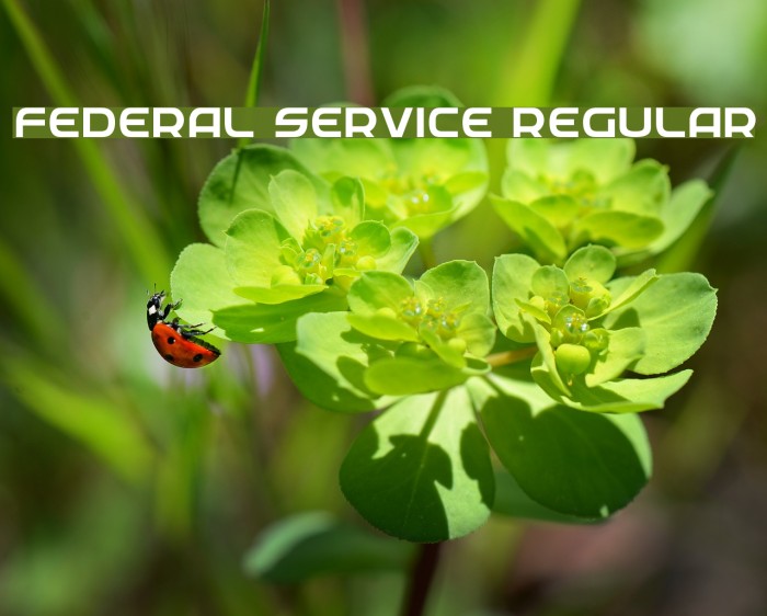 Federal Service Regular Шрифта examples