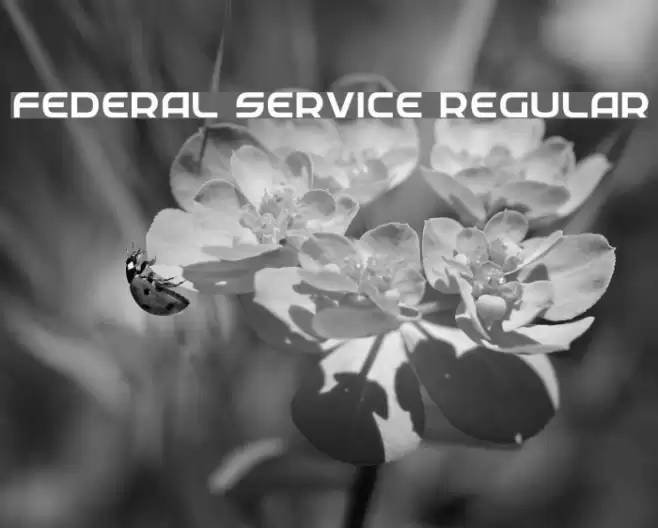 Federal Service Regular Шрифта examples
