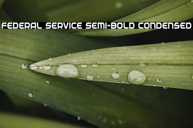 Federal Service Semi-Bold Condensed Example 1