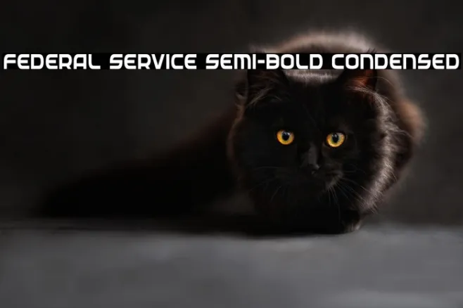 Federal Service Semi-Bold Condensed Example 2