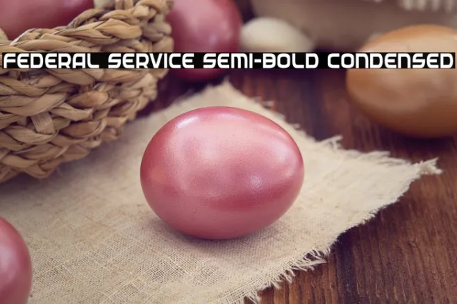 Federal Service Semi-Bold Condensed Example 3