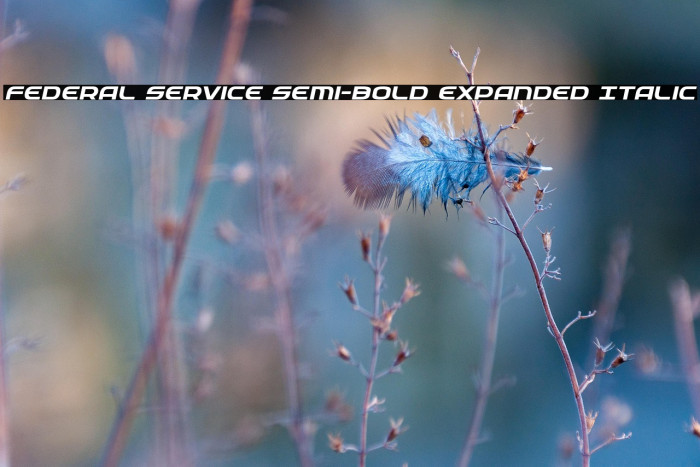 Federal Service Semi-Bold Expanded Italic Example 1