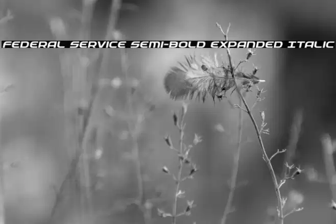 Federal Service Semi-Bold Expanded Italic Font examples