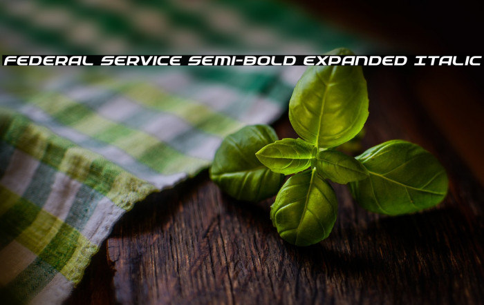 Federal Service Semi-Bold Expanded Italic Example 2