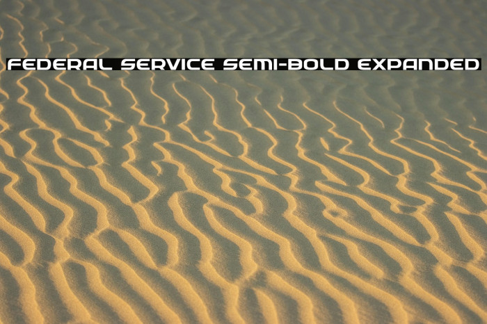 Federal Service Semi-Bold Expanded Example 2