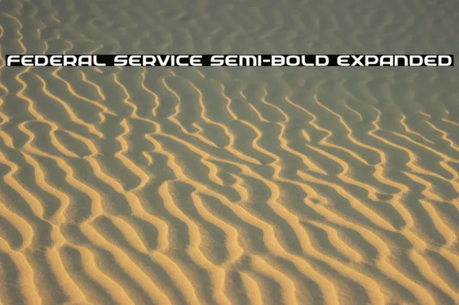 Federal Service Semi-Bold Expanded Example 2