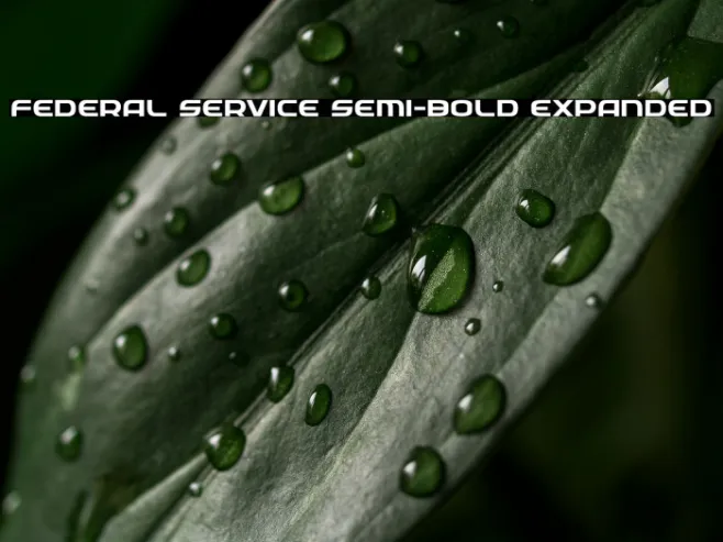 Federal Service Semi-Bold Expanded Example 3
