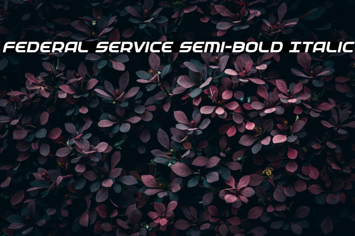 Federal Service Semi-Bold Italic Example 2