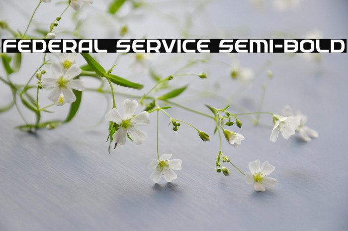 Federal Service Semi-Bold Example 1
