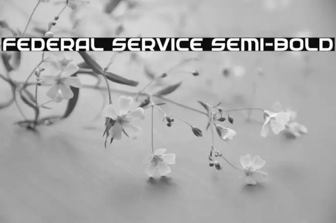 Federal Service Semi-Bold Font examples