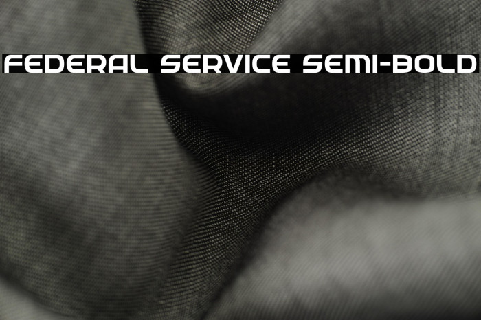 Federal Service Semi-Bold Example 2