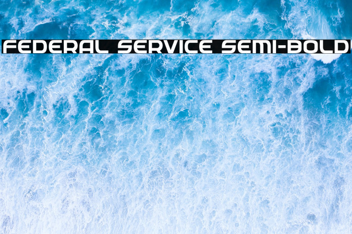 Federal Service Semi-Bold Example 3