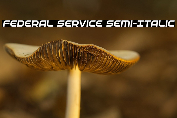 Federal Service Semi-Italic Example 1