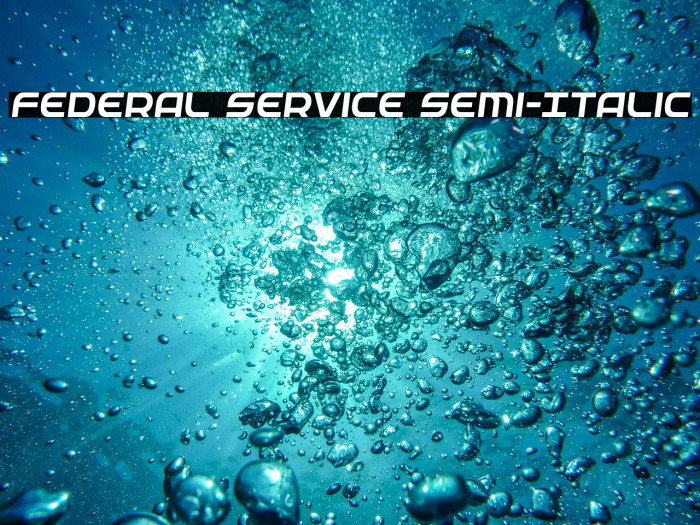 Federal Service Semi-Italic Example 3