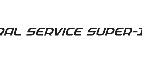 Federal Service Super-Italic Logo