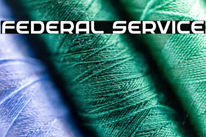 Federal Service Example 1