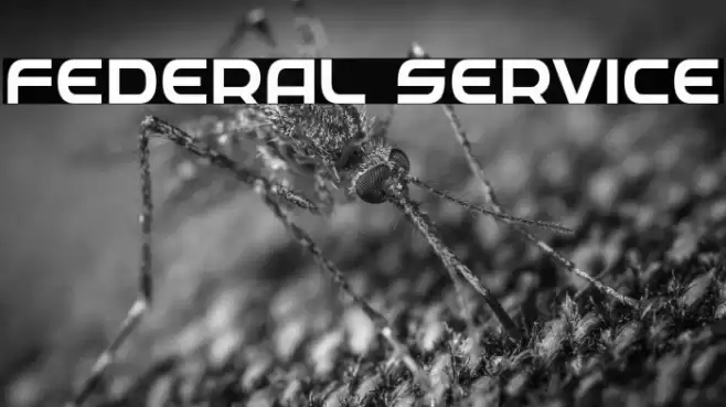 Federal Service Font examples