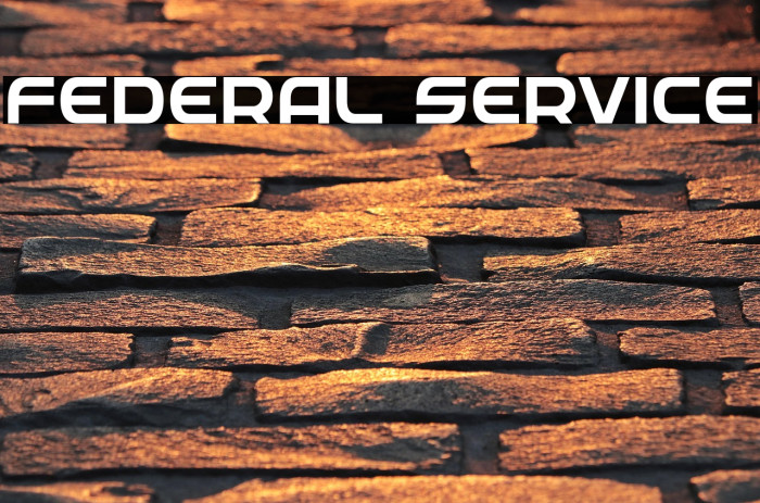 Federal Service Example 3