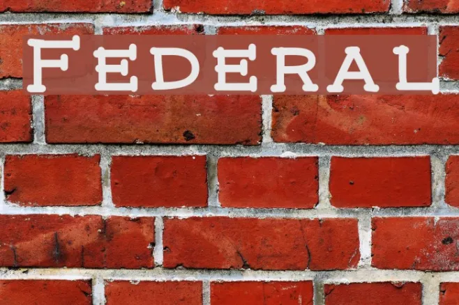 Federal Example 1