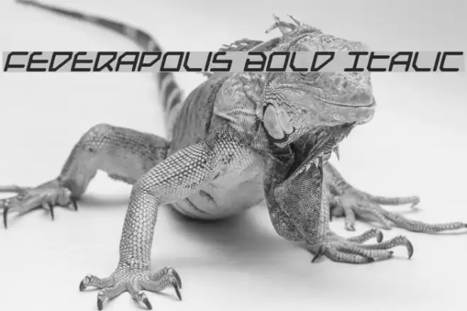 Federapolis Bold Italic Font examples