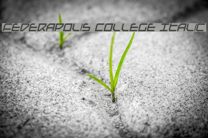 Federapolis College Italic Font examples