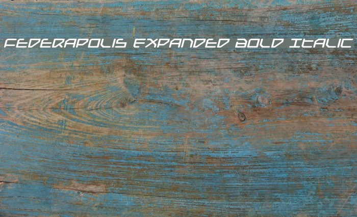 Federapolis Expanded Bold Italic Font examples