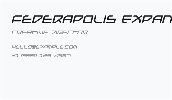 Federapolis Expanded Bold Italic Business Card