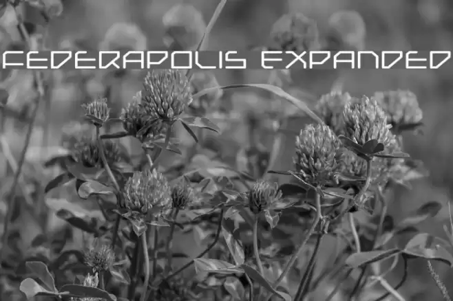 Federapolis Expanded Font examples