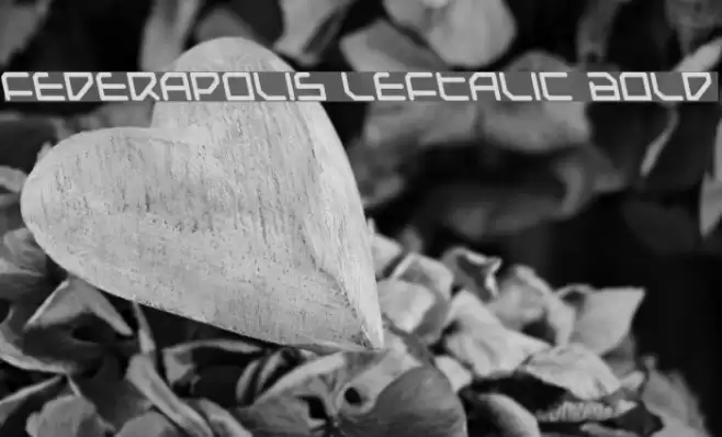 Federapolis Leftalic Bold Fonte examples
