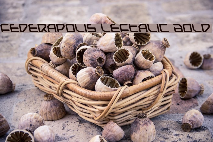 Federapolis Leftalic Bold Fonte examples
