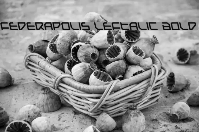 Federapolis Leftalic Bold Fonte examples