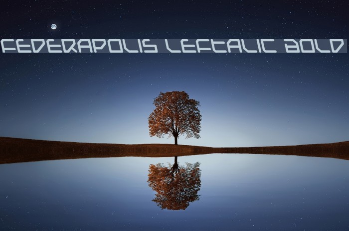 Federapolis Leftalic Bold Fonte examples