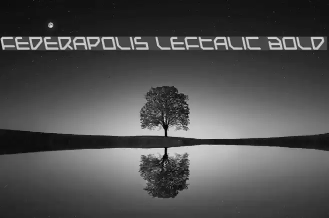 Federapolis Leftalic Bold Fonte examples