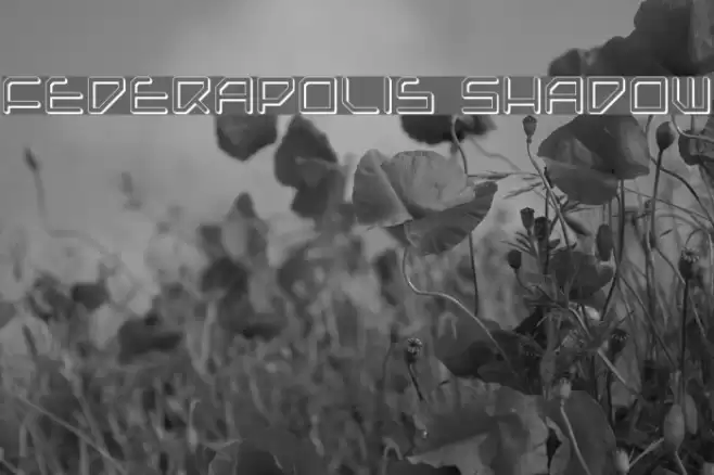 Federapolis Shadow Font examples