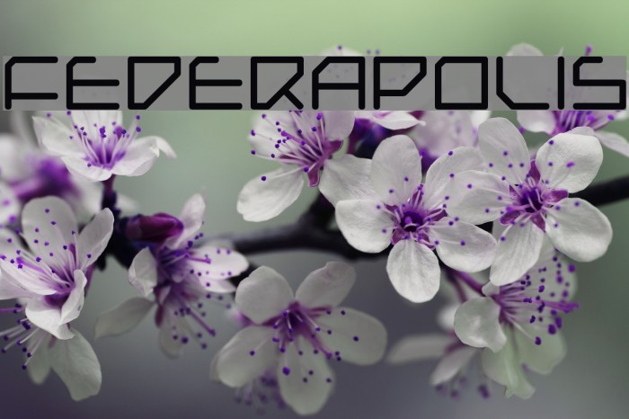 Federapolis Font examples