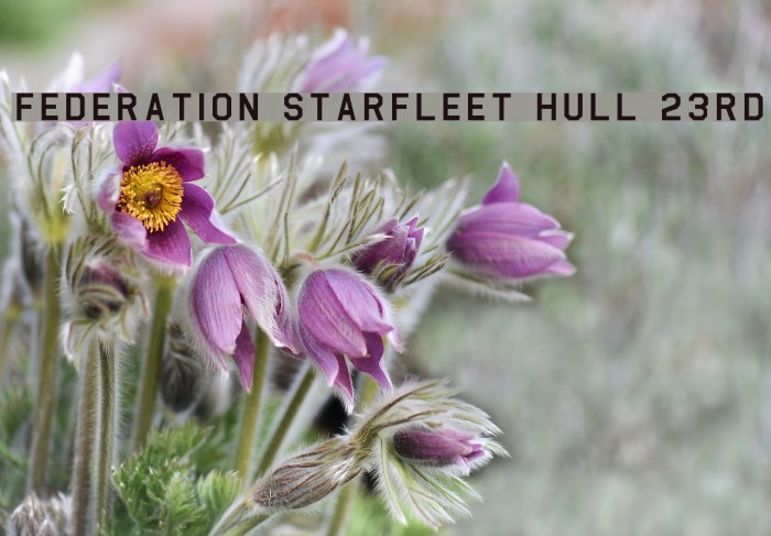 Federation Starfleet Hull 23rd Font examples