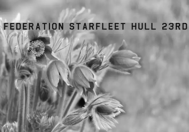 Federation Starfleet Hull 23rd फ़ॉन्ट examples