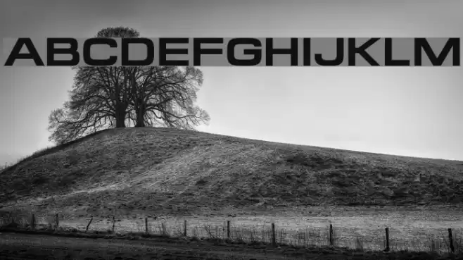 FederationBold Font examples