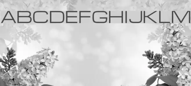 Federation Font examples