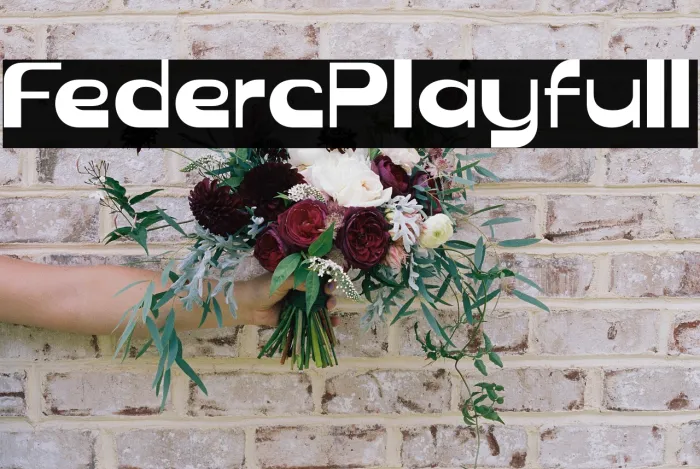 Federic Playfull Example 2