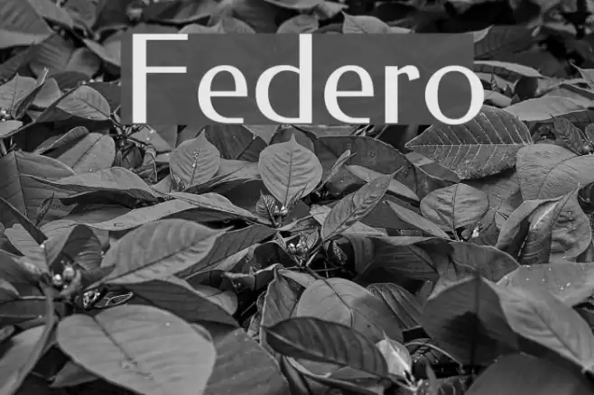 Federo Font examples