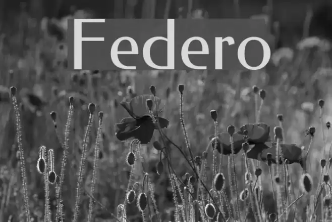 Federo Font examples