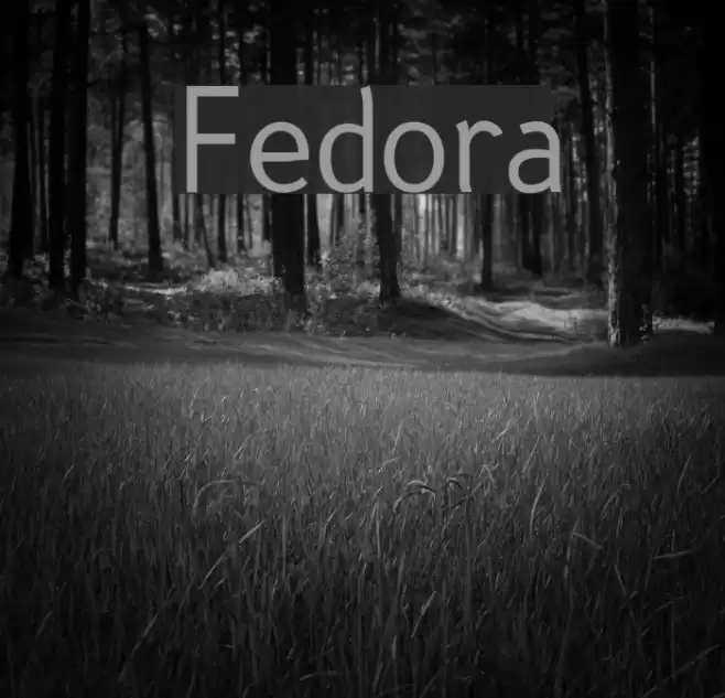 Fedora 字体 examples