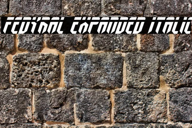 Fedyral Expanded Italic Example 2
