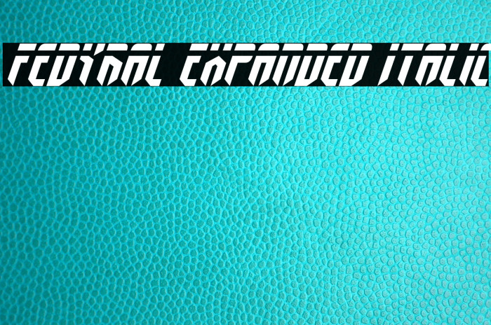 Fedyral Expanded Italic Font examples