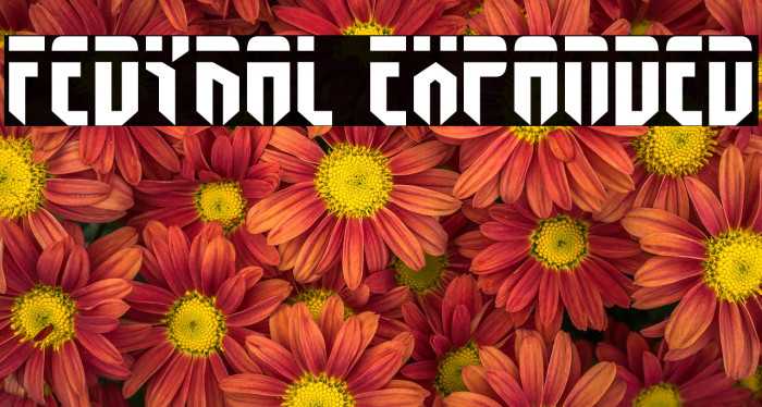 Fedyral Expanded Font examples