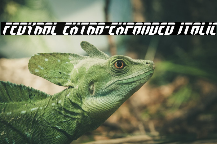 Fedyral Extra-Expanded Italic Example 2