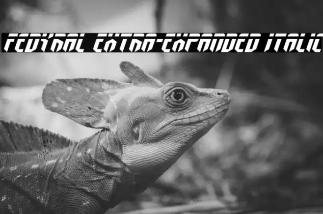 Fedyral Extra-Expanded Italic Font examples