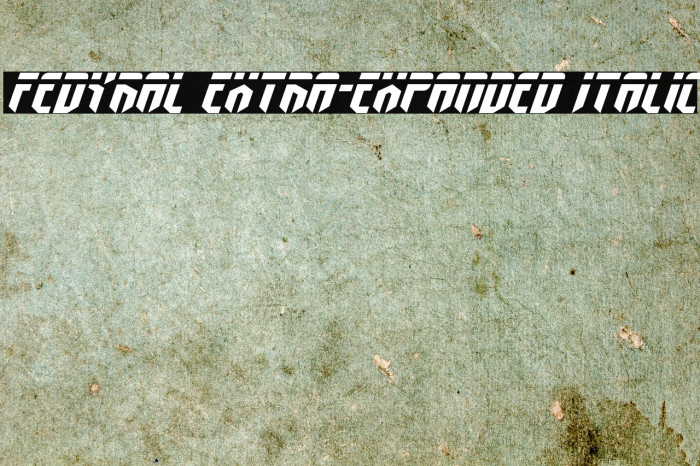 Fedyral Extra-Expanded Italic Example 3