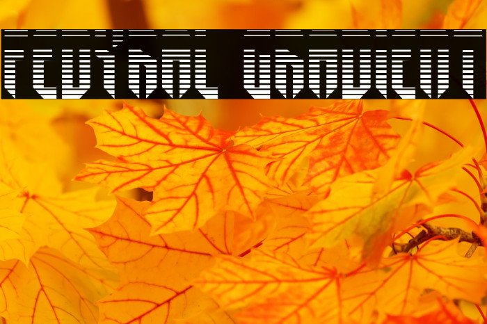 Fedyral Gradient Example 3